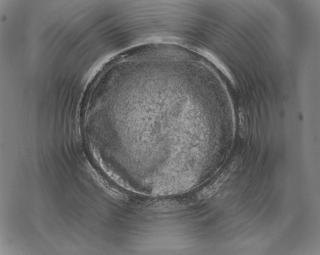 X0000074030972200609111709