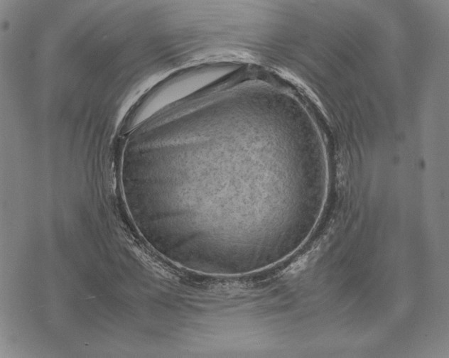 X0000074030973200609111709