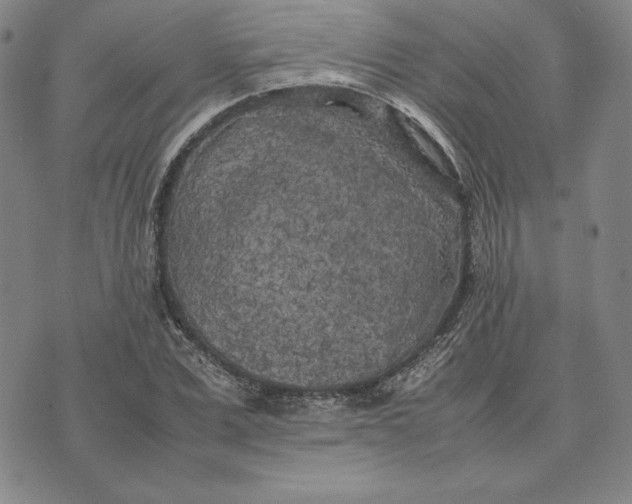 X0000074030975200609111709