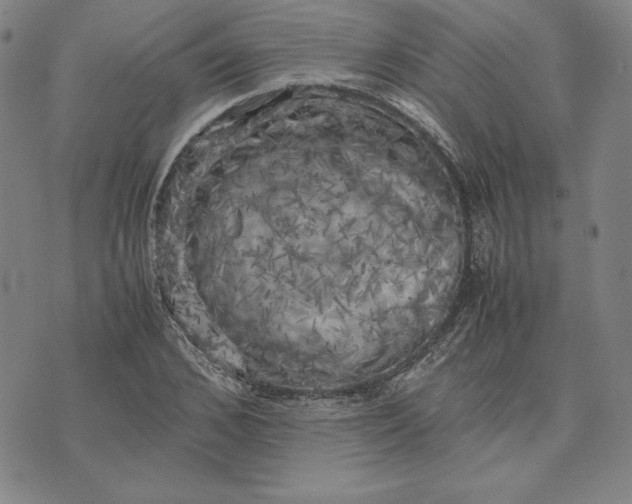 X0000074030976200609111709