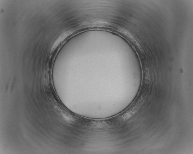 X0000074030978200609111709