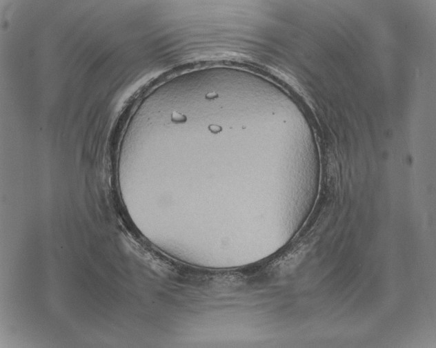 X0000074030979200609111709