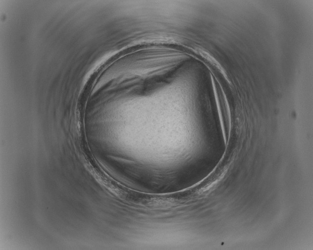 X0000074030981200609111709