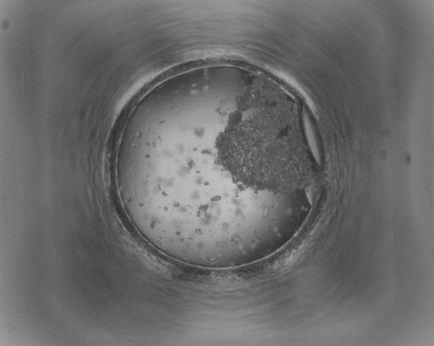 X0000074030983200609111709