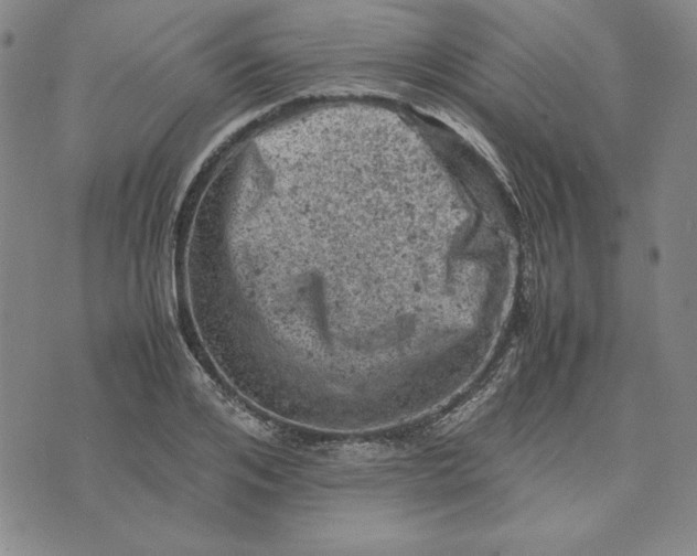 X0000074030984200609111709