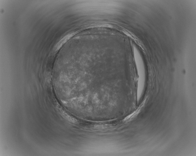 X0000074030985200609111709