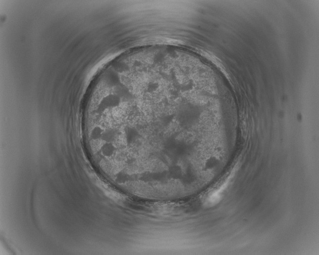 X0000074030987200609111709