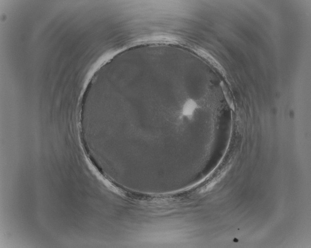 X0000074030989200609111709