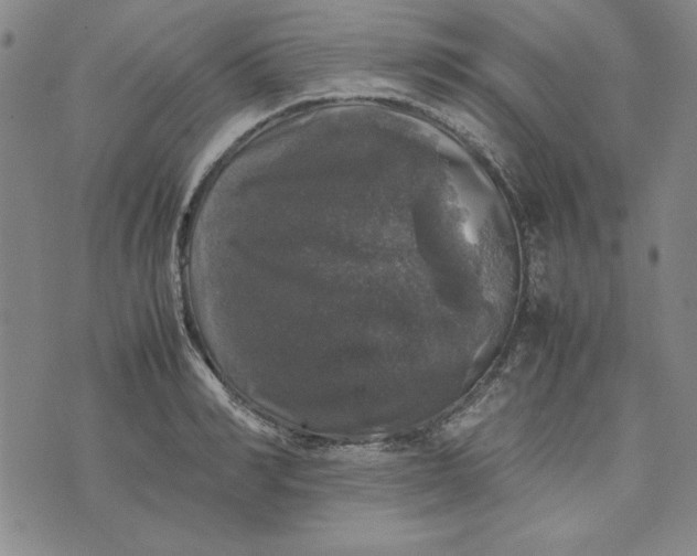 X0000074030990200609111709