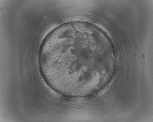 X0000074030991200609111709