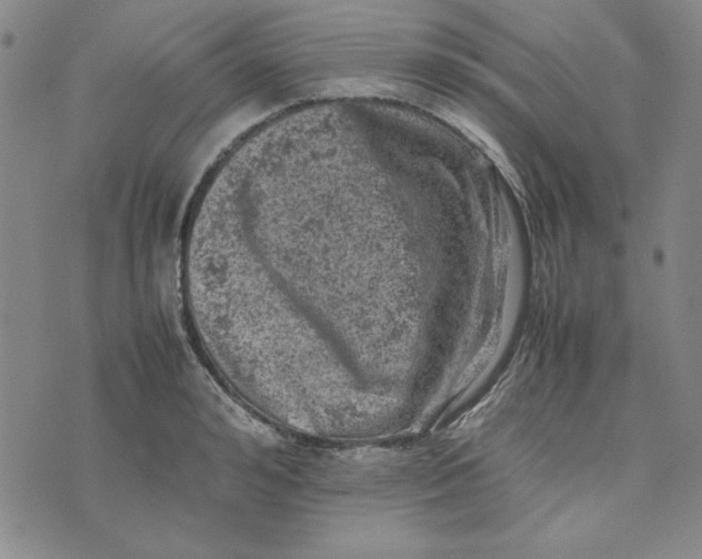 X0000074030992200609111709