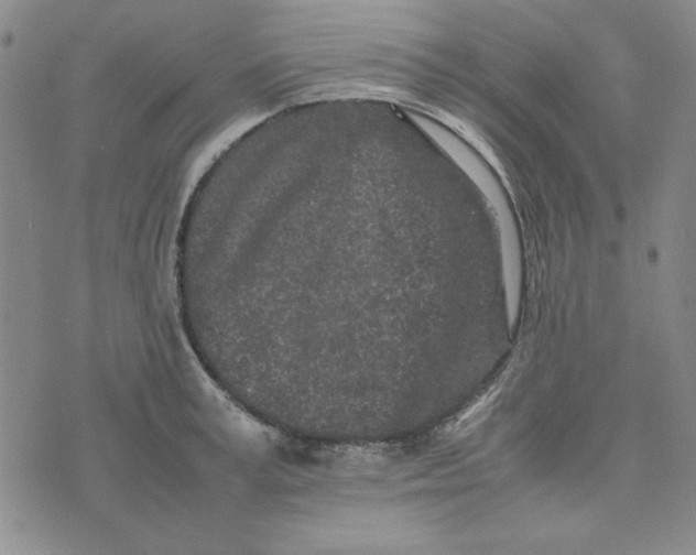 X0000074030995200609111709