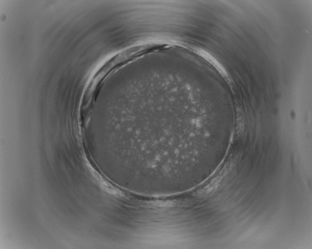 X0000074030996200609111709