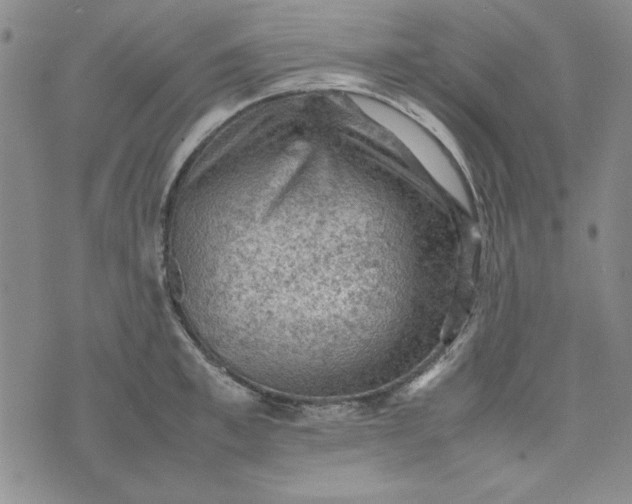 X0000074030997200609111709