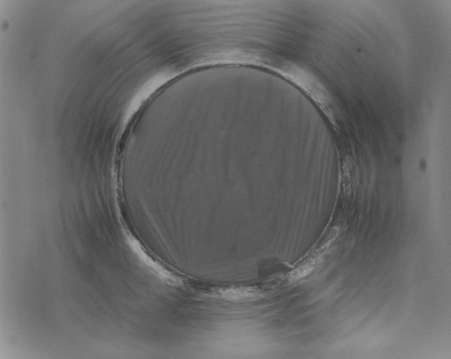 X0000074030998200609111709