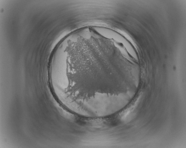 X0000074030999200609111709