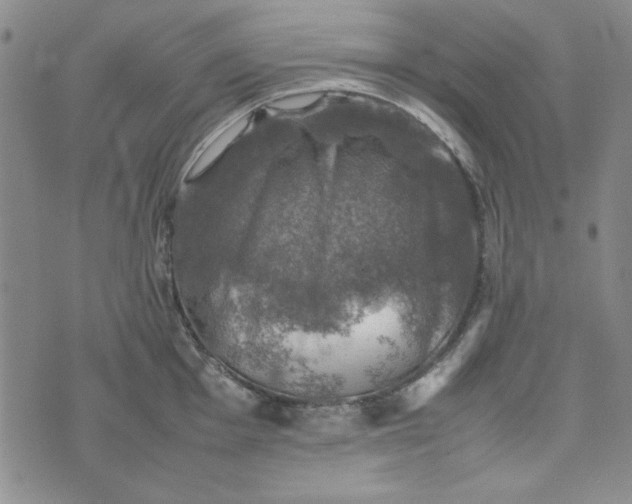 X0000074031001200609111709