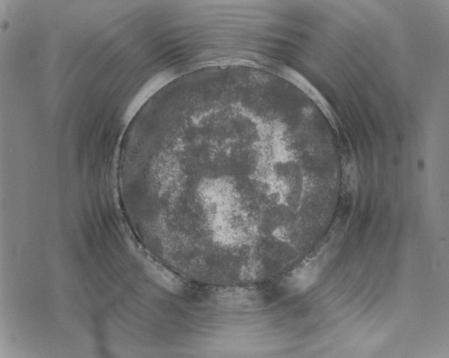 X0000074031002200609111709