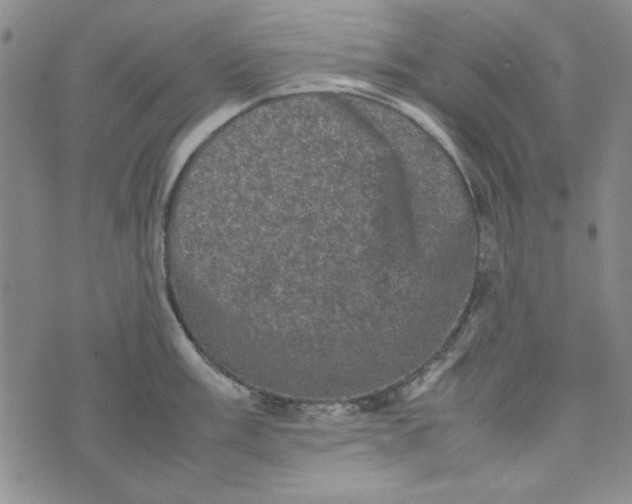 X0000074031003200609111709