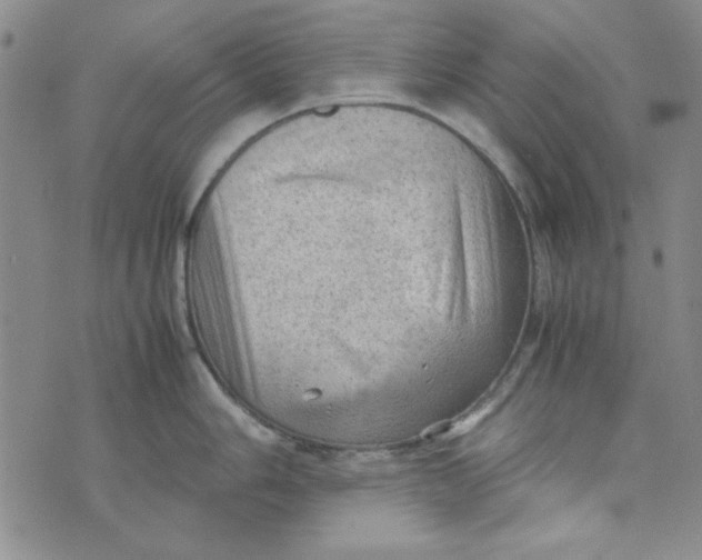 X0000074031006200609111709