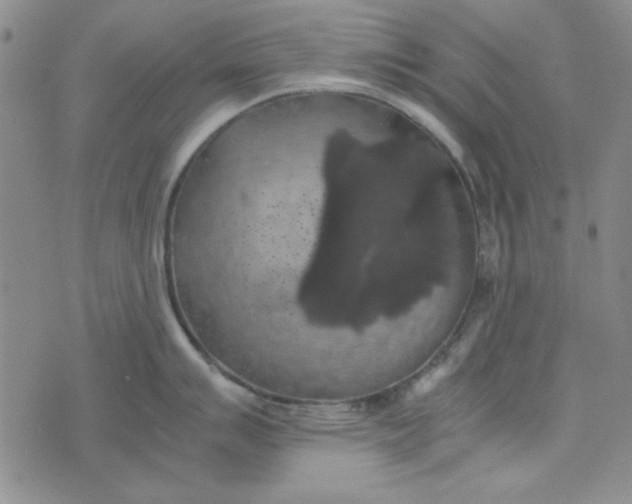 X0000074031007200609111709