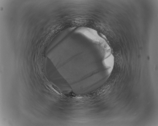 X0000074031009200609111708