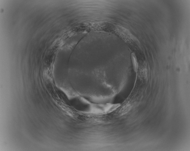 X0000074031010200609111708