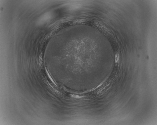 X0000074031011200609111708