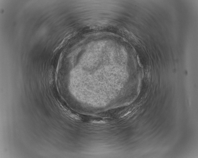 X0000074031012200609111708