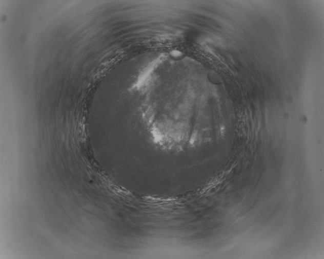 X0000074031013200609111708