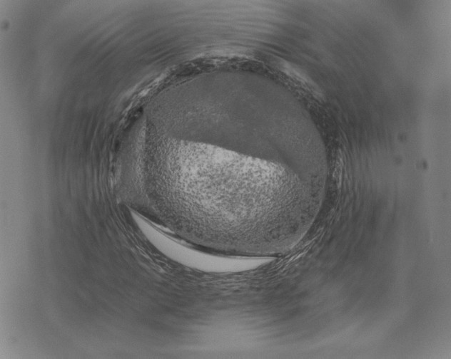 X0000074031014200609111708