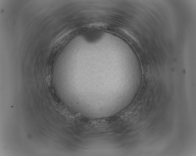 X0000074031015200609111708