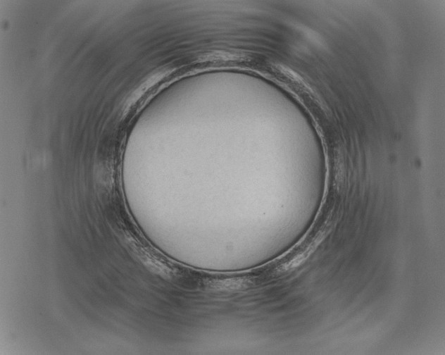 X0000074031017200609111708