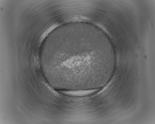 X0000074031018200609111708