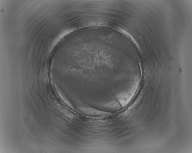 X0000074031019200609111708