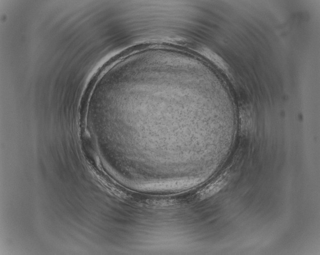 X0000074031020200609111708