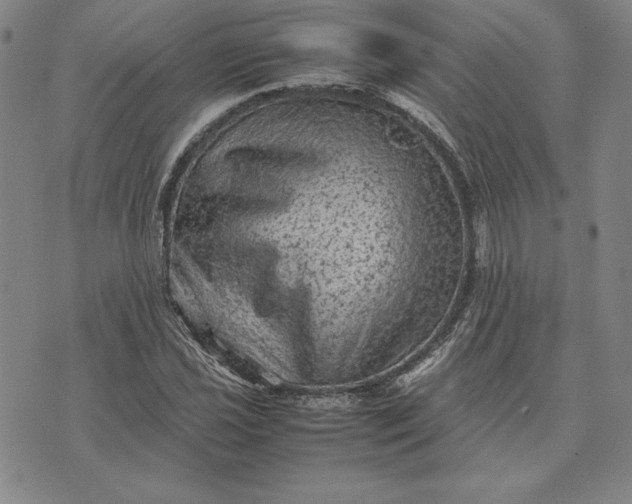 X0000074031021200609111708