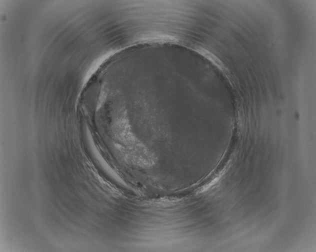 X0000074031022200609111708