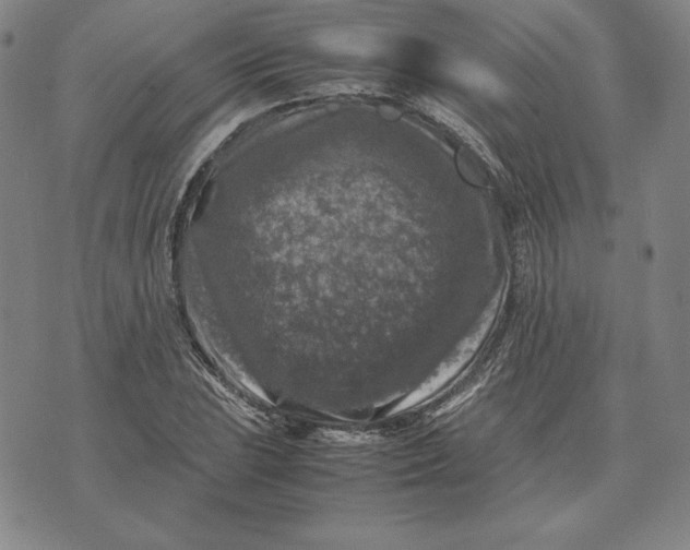 X0000074031023200609111708