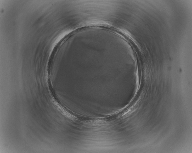 X0000074031024200609111708