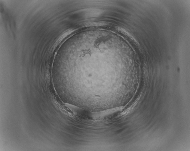 X0000074031025200609111708