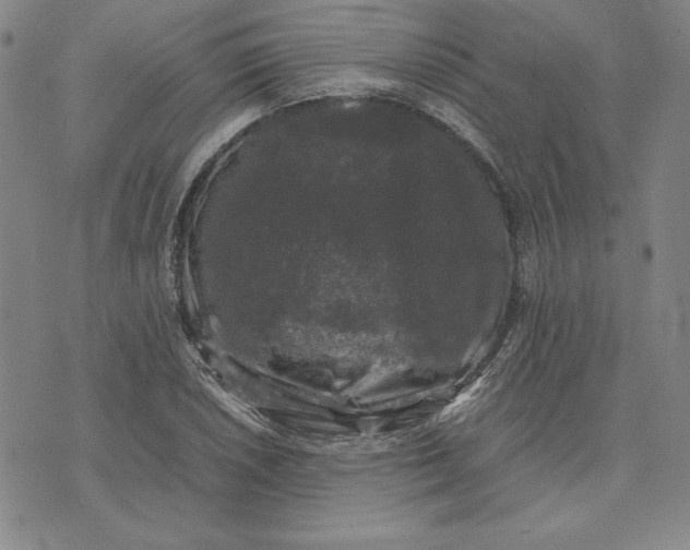 X0000074031026200609111708