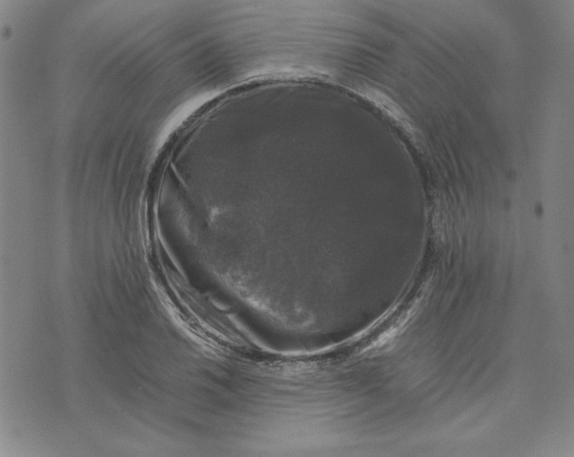 X0000074031030200609111708