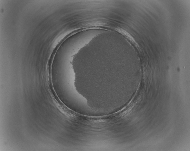 X0000074031031200609111708