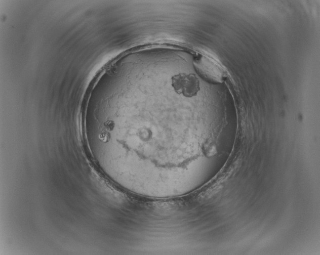 X0000074031032200609111708