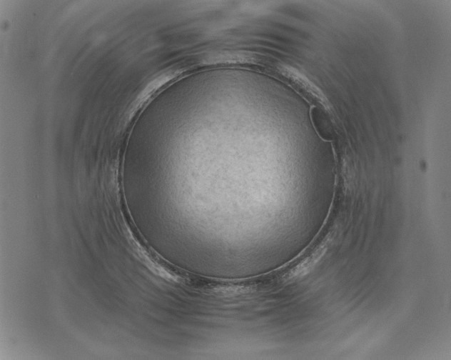 X0000074031033200609111709