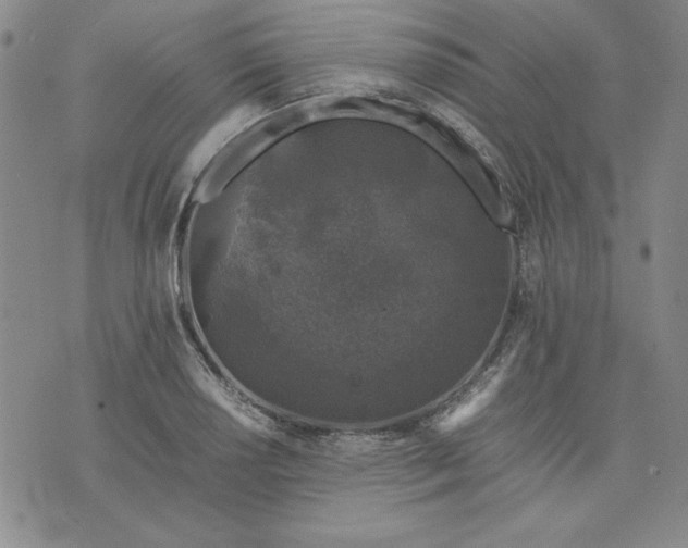 X0000074031034200609111709