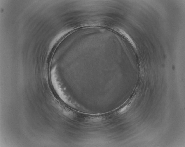 X0000074031035200609111709