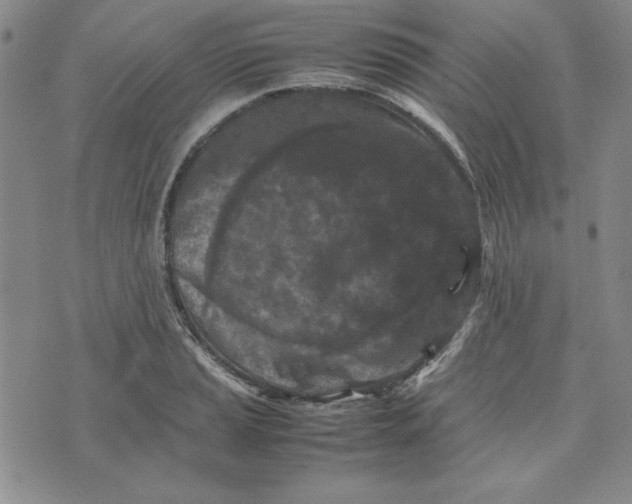 X0000074031037200609111709