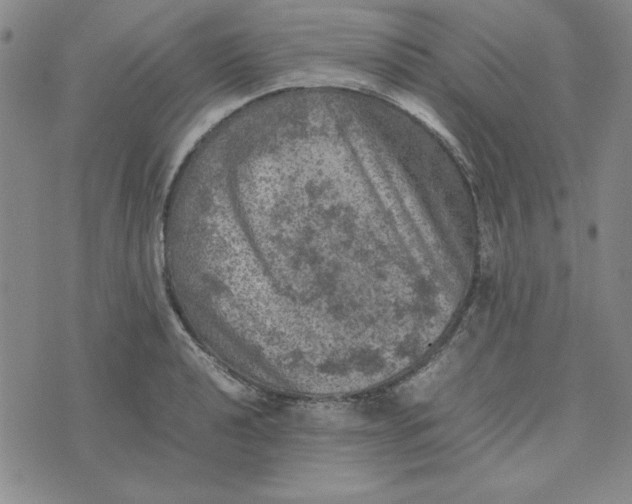 X0000074031040200609111709